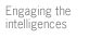 Sidebar: Engaging the intelligences