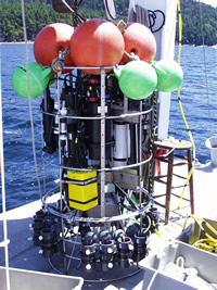 Free-fall profile system