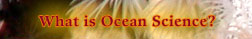 What is Ocean Science